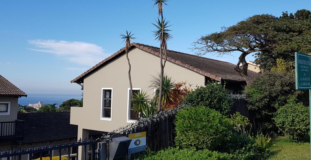 Crooked Tree Cottage Durban Exterior foto